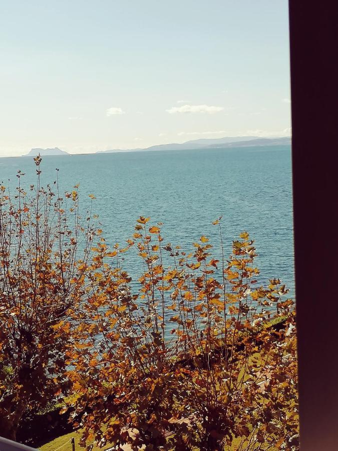 Grand Amour Εστεπόνα Εξωτερικό φωτογραφία